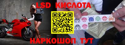 спайс Малгобек