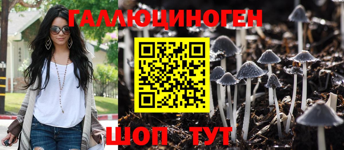 Галлюциногенные грибы Psilocybine cubensis  Псилоцибиновые грибы Cubensis  Владимир 