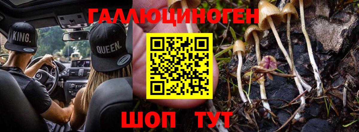 Псилоцибиновые грибы мухоморы Владимир