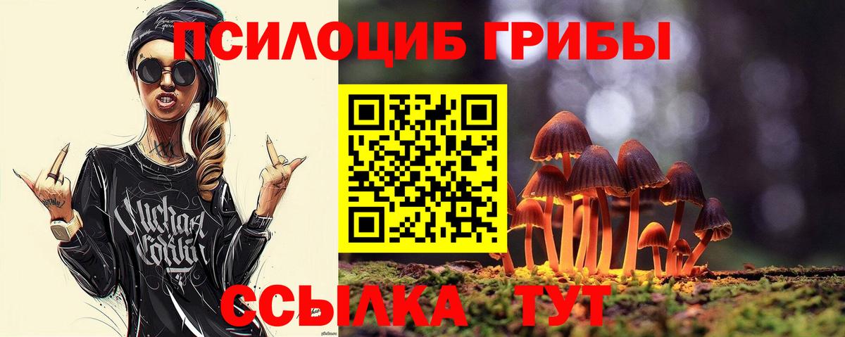 Галлюциногенные грибы Psilocybe  Вход с VPN  Владимир  Галлюциногенные грибы Psilocybine cubensis 