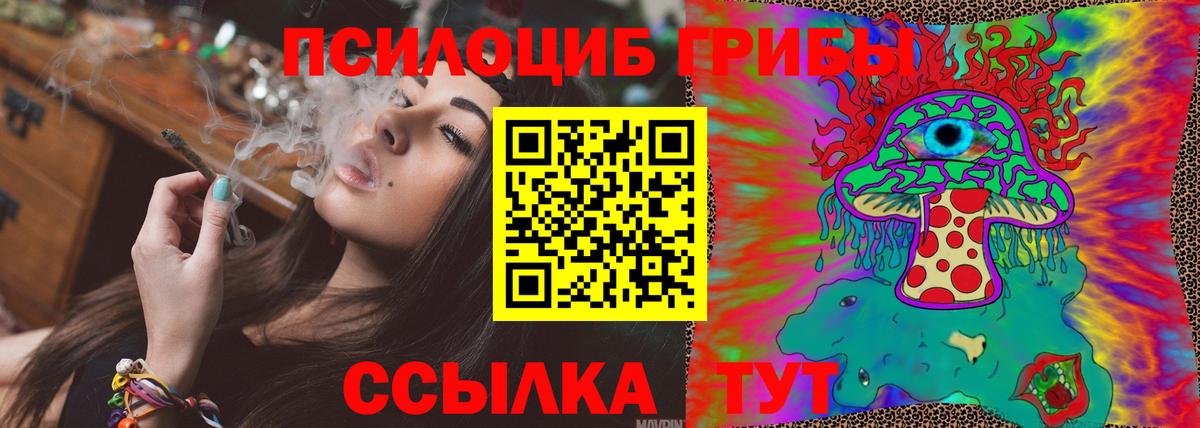 Псилоцибиновые грибы мухоморы Владимир